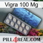 Vigra 100 Mg 34